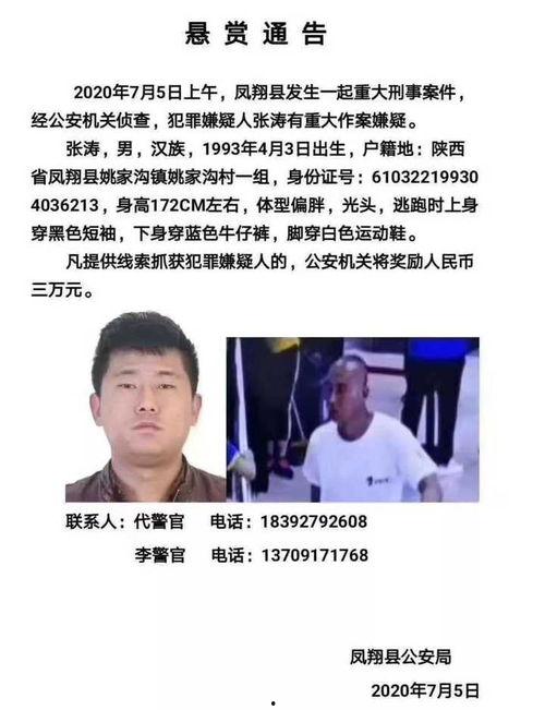 陕西凤翔爆料案件最新,案情最新进展及社会关注焦点”  第2张