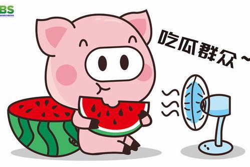 娱乐八卦吃瓜群众,揭秘明星幕后故事，吃瓜群众狂欢时刻  第2张