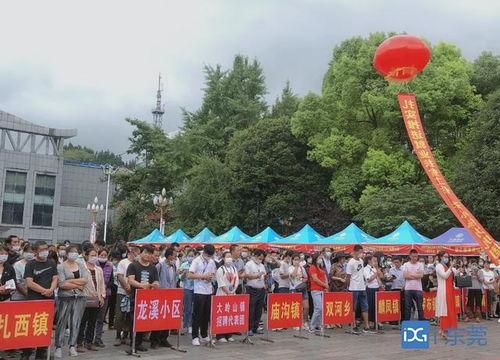 东莞大岭山爆料新闻最新,最新爆料揭示惊人真相 第2张 东莞大岭山爆料新闻最新,最新爆料揭示惊人真相 第2张