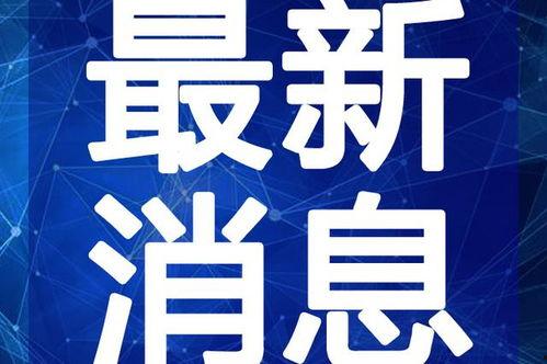 于强最新爆料虎哥视频,于强最新爆料内幕大曝光